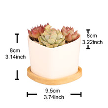 Load image into Gallery viewer, 花盆