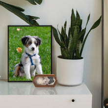 Load image into Gallery viewer, box