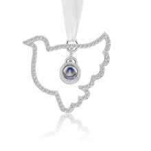 Load image into Gallery viewer, 投影挂饰