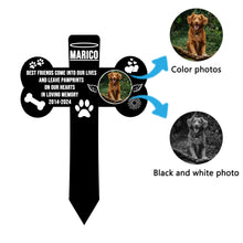 Load image into Gallery viewer, 铁艺