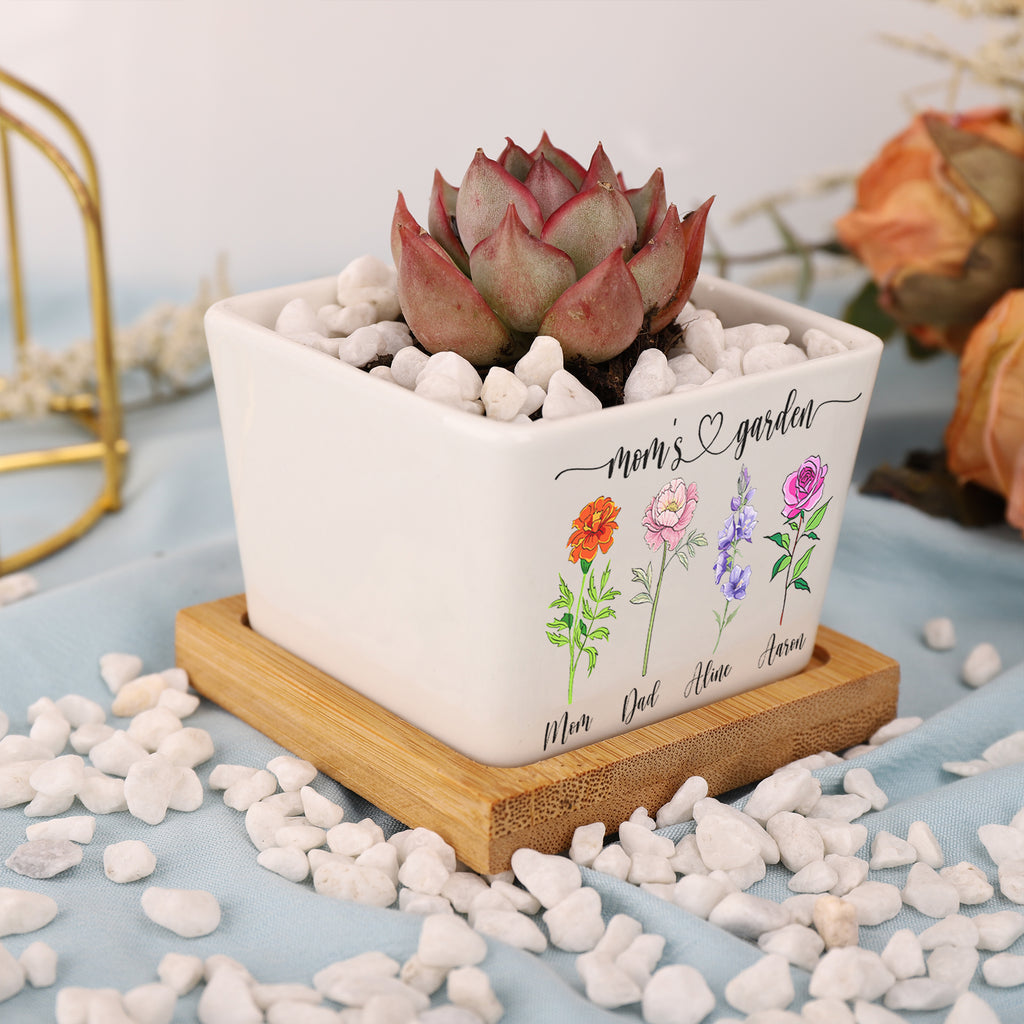 花盆