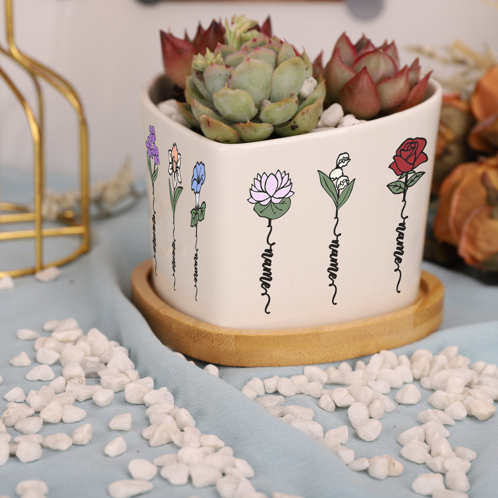 花盆