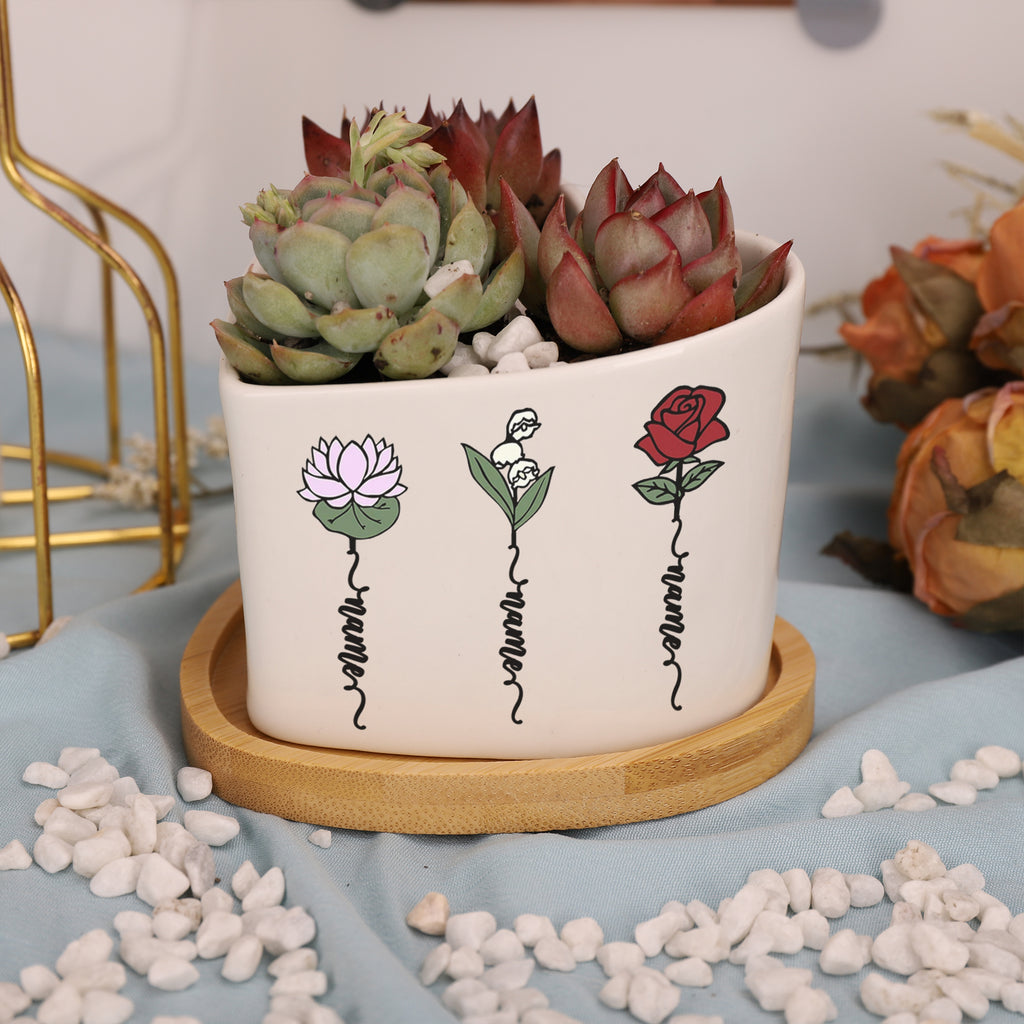 花盆
