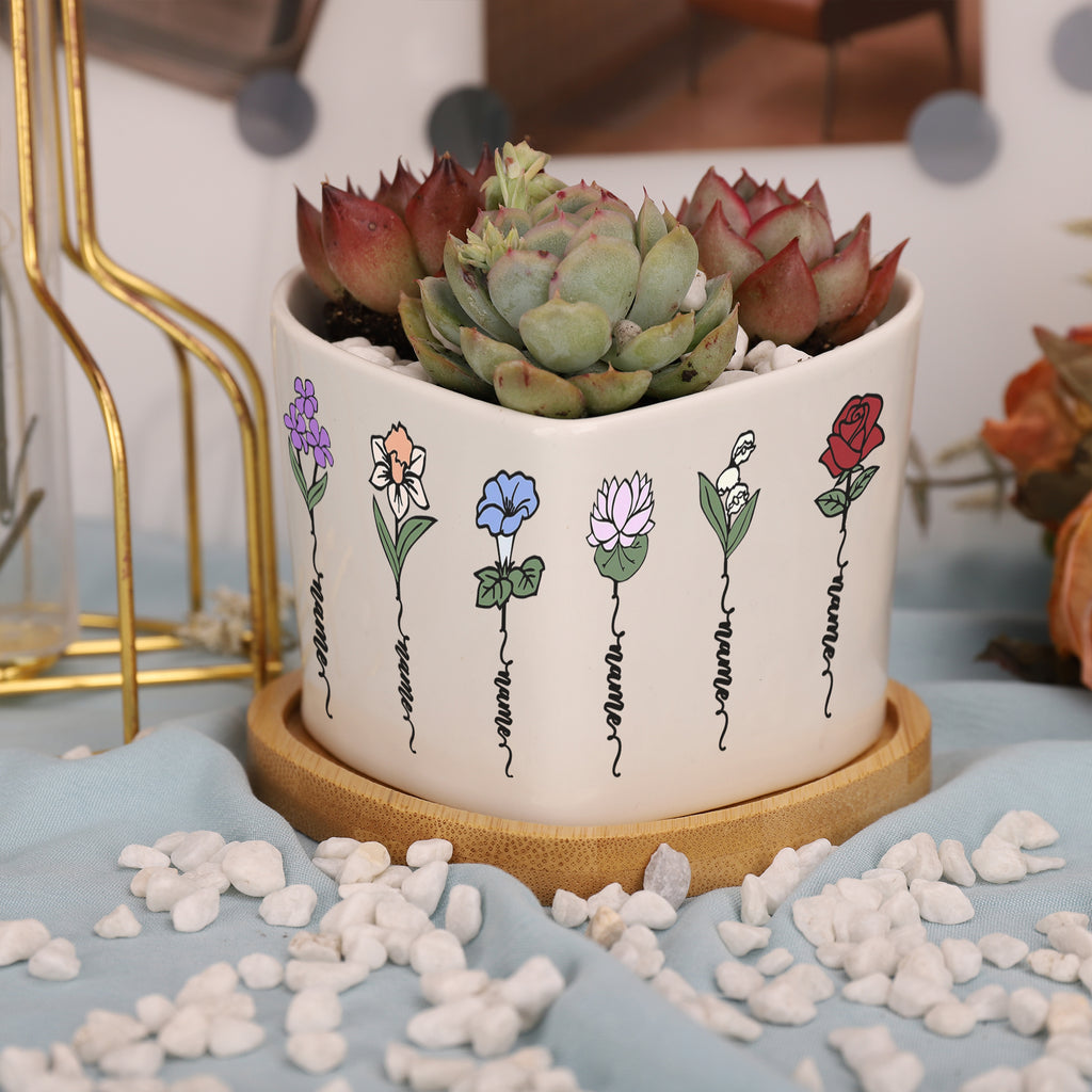 花盆