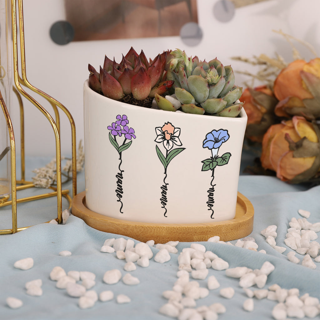 花盆