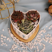 Load image into Gallery viewer, 花盆