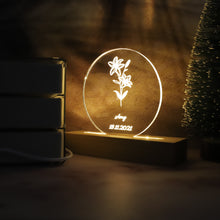 Load image into Gallery viewer, 夜灯