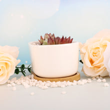Load image into Gallery viewer, 花盆
