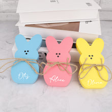 Load image into Gallery viewer, 摆件