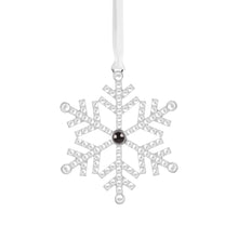 Load image into Gallery viewer, 投影挂饰