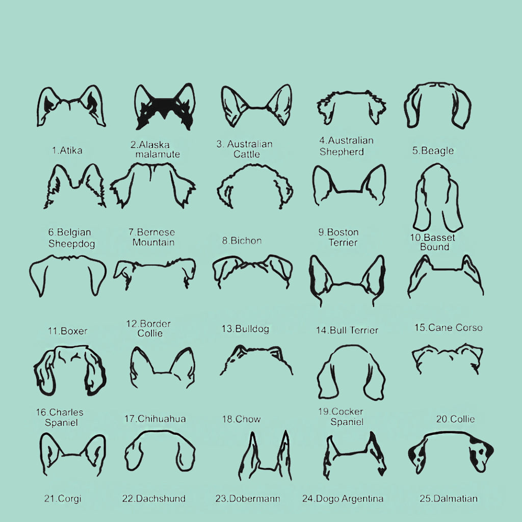 dog earrings necklace