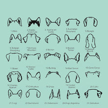 Load image into Gallery viewer, dog earrings necklace